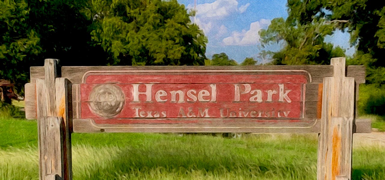 Hensel Park